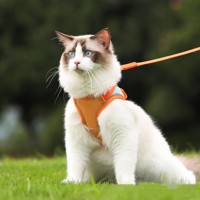 Reflective Anti Escape Pet Harness With Leash
