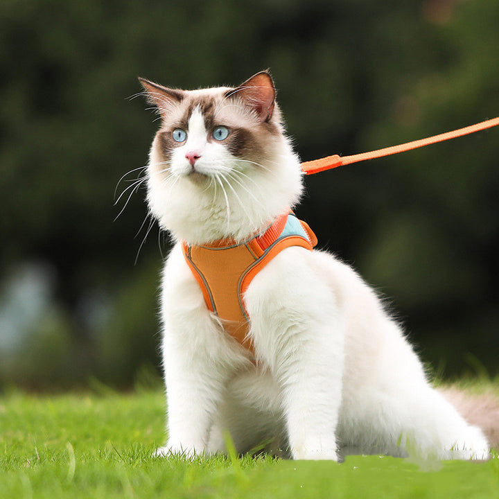 Reflective Anti Escape Pet Harness With Leash