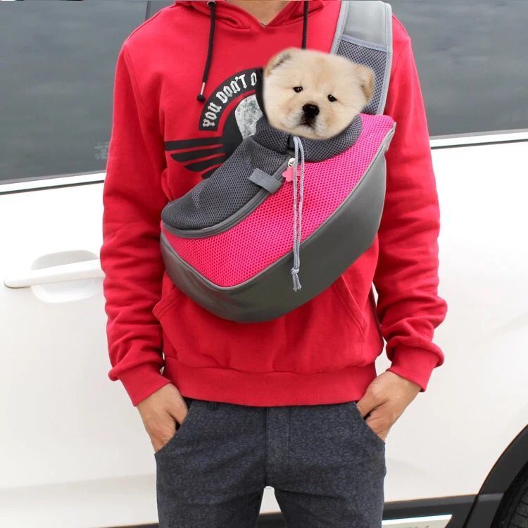 Portable Pet Carrier Mesh Shoulder Travel Bag Tote