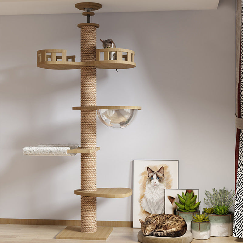 Climbing Column Interactive Pet Frame Toy