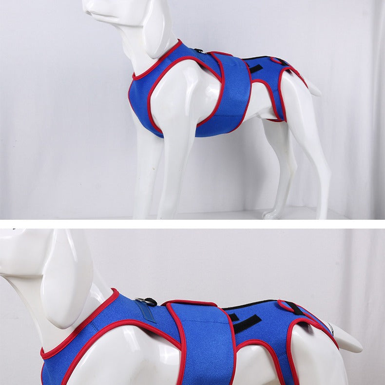 Pet Spine Support Jacket Posture Correction Protective Wear