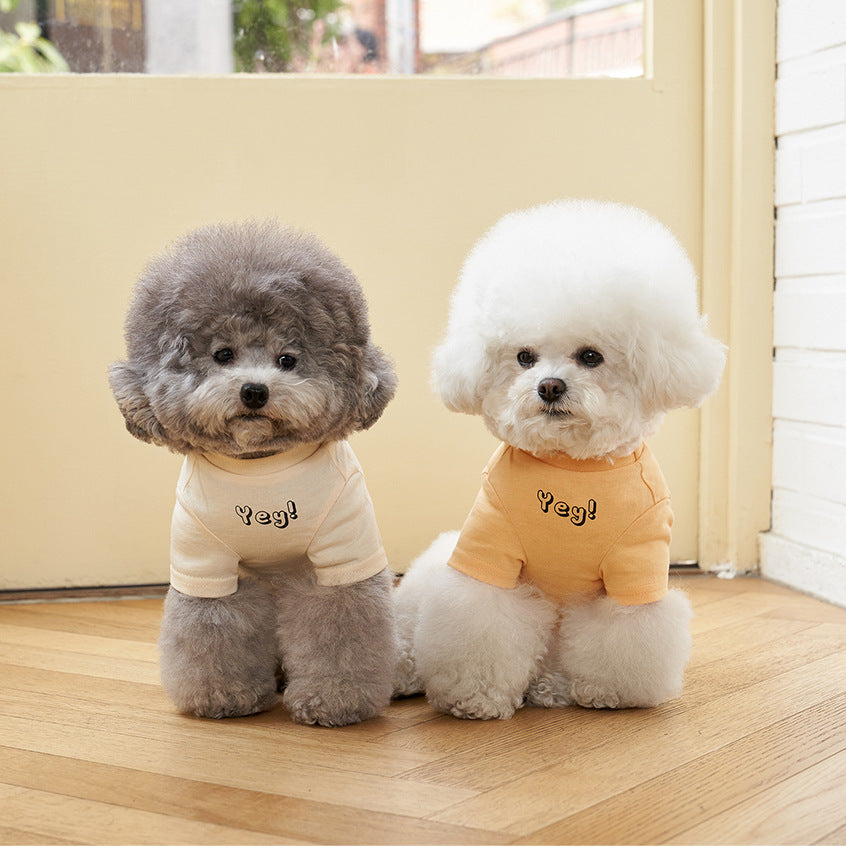 Korean Style Cotton Short Sleeve Printed Pet T Shirt