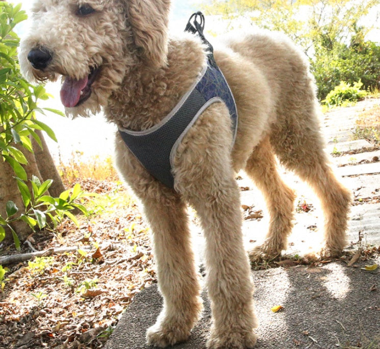 Pet Harness Vest Leash For Strong Control Walks