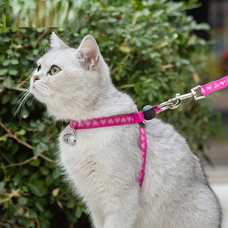 Pet Bell Vest Harness Leash Set For Walks